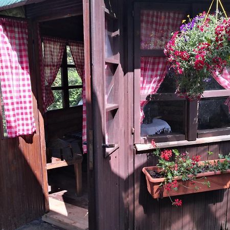 Charmante Ferienwohnung 3 Zimmer Kueche Bad zentrale Lage Hagen im Bremischen Exterior foto
